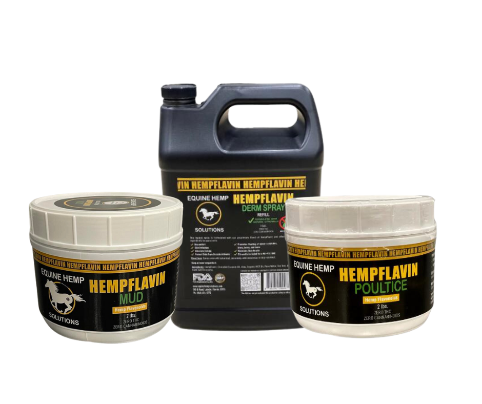 EQUINE BULK DERM BUNDLE