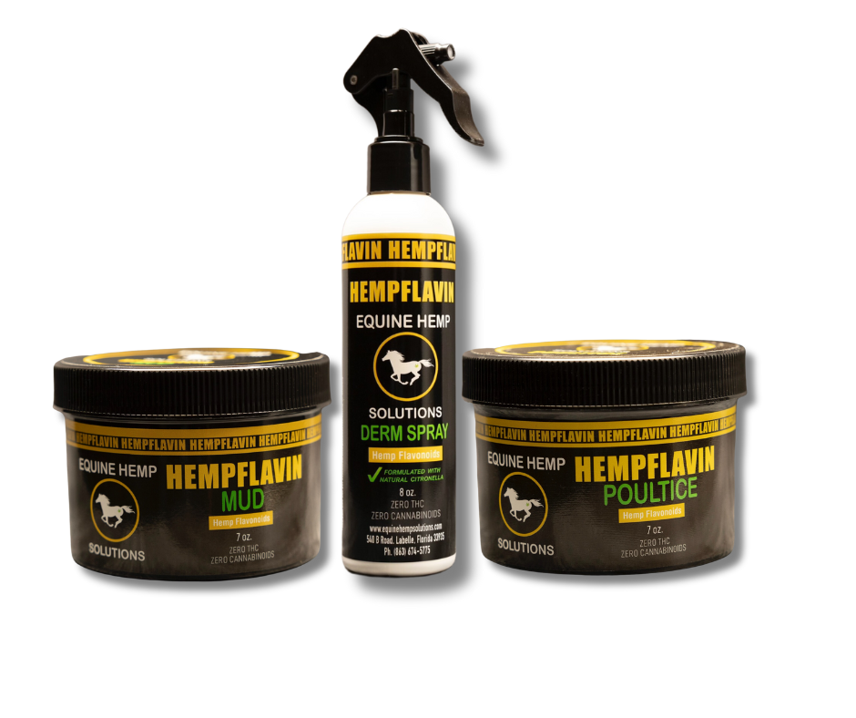 EQUINE DERM BUNDLE