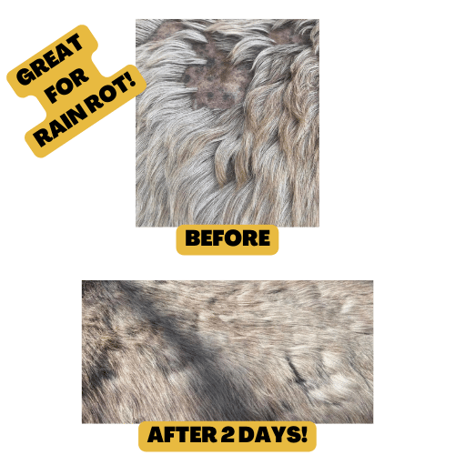EQUINE HFLAVIN MUD